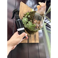 The Plantomist - foliage fertiliser.