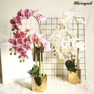[MIC]✵1Pc Faux Orchid Plant Natural Realistic Household Products Orchid Artificial Plants Decoration for Stores