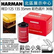 Digital Bunny [HARMAN RED 125 135 35mm 36 Sheets Color Film Negative Film Special Film] C41 Film