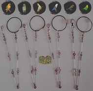 Rantai Burung Paruh Bengkok Stainless, Rantai Falk, Rantai Parkit, Rantai Lovebird, Rantai Sun Conur