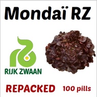 Lettuce Mondai RZ Pelleted Seeds by Rijk Zwaan  | Repacked 100pcs | Original Package 1000pcs