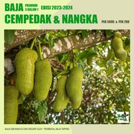 Baja Khas Untuk Pokok Cempedak Dan Nangka