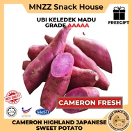 [MNZZ] Fresh Purple Sweet Potato Cameron Highland Ubi Keledek Ungu Groceries Vegetables Sayur Segar 