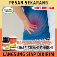GAMAT EMAS KAPSUL Herbal Untuk Obat Sakit Pinggang Obat Cedera Pinggang Obat Pinggang Kecetit Obat N