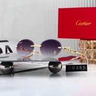 Cartier Cheetah Oval Sunglasses 00385 KK