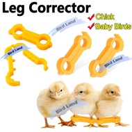 Chick Leg Stabilizer Baby Birds Splay Legs Correction Band Newborn Chicken Leg Hobble Brace Support