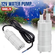 **包郵** 電動抽油泵 柴油泵 抽水泵 輸油泵 小型潛水泵 [平行進口] ZZ1136