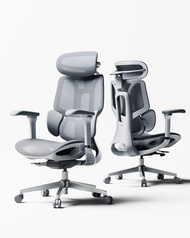 HBADA E3 Air 2026 Edition & E3 Air Ergonomic Office Chair with 3-Zone Dynamic Lumbar Support