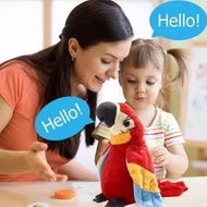 mainan boneka peniru suara burung beo bisa bicara boneka talking