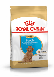 Hạt cho chó Royal Canin Poodle Puppy Thức ăn cho chó con Poodle 1.5kg Petemo Pet Shop