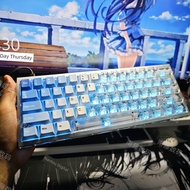 cherry mx keycaps pbt keycaps sa keycap At atk68 Hawaii PBT/PC Transparent Double Keycap 64 Configur