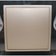 SIMON I7 CHAMPAGNE BLANK PLATE SWITCH