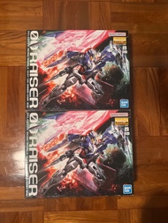 Bandai MG 00 Raiser 高達模型