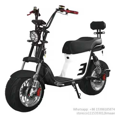Popular 2000W Electric Citycoco Scooter with Removable Battery Wholesale 2-Wheel Smart Two-Wheel Ele