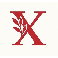 Code X (21 Oct 2025 )