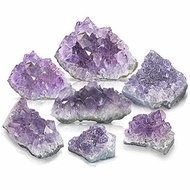 ▶$1 Shop Coupon◀  BedRock 8 Amethyst Geode Druzy Crystal Clusters - Purple Amethyst Crystals