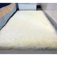 Shaggy Fluffy Carpet