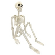 Halloween Skeleton Full Body Posable Joints Realistic Human Skeleton Decorations for Party Haunted H