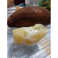 Ubi Yacon Segar dari Cameron Highlands