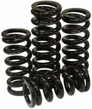 Kindshock Front Suspension Spring 550-800LBS/79 BK KSK622-0604A01 Black