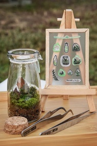 苔蘚生態瓶(小) DIY材料包+教學說明書