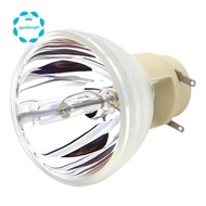 Compatible W1070 W1070+ W1080 W1080ST HT1085ST HT1075 W1300 Projector Lamp Bulb 240/0.8 E20.9N for BenQ