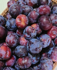 Spain Black Plum Honey Sweet Juicy Fresh Plum