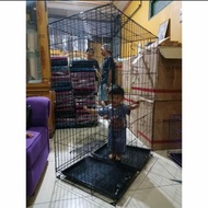 EXTRA JUMBO XXL 3-STOREY CAT CAGE 130X90X60 (FREE WHEELS)