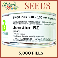 JONCTION RZ SEEDS BATAVIA LETTUCE (5000 PILLS OR PELLETS) BY RIJK ZWANN