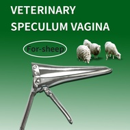 Speculum High Quality Stainless Steel Carbon Steel Animal Sheep Goat Dilator Vaginal Artificial Insemination Tool Universal Type