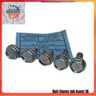 M6 FLANGEBolt BOLT 10 m6x10 m6x14 m6x16 m6x18 m6x20 LOCK BOLTS 10 length 1cm 1.4 cm 1.6 cm 1.8cm 2cm