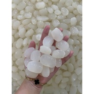 1kg Bucket Seeds (Including 4 Sizes) Delicious and soft seeds.