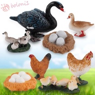 [READY STOCK] Life Cycle Figures Science Simulation Swan Model Hen Cock Poultry Growth Cycle Cycle Duck Figurine