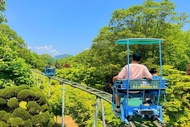 สถานที่ท่องเที่ยว/กิจกรรม Nami Island with The Garden of Morning Calm Rail Bike from Seoul - โซล
