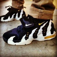 Nike Air Dt-max 96