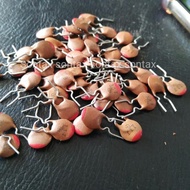 (READ DESCRIPTION) 33 33pf 33 pf npo murata 1 kv 1kv