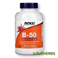NOW Foods, B-50, 250 Veg Capsules | Shelf Life: 2–4 Years