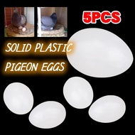 5Pcs Trick The Birds Pigeon False Eggs Solid Fake Egg Dove Dummy Eggs Hatching Eggs