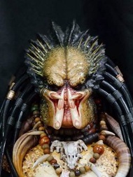 鐵血戰士 predator  異形