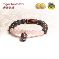 Dzi Kingdom Tiger Tooth Dzi 【Protection Dzi】 Authentic Tibet Antique Dzi Bracelet 天珠王国 虎牙天珠 【护法天珠】 西