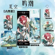 Wuthering Waves/Ciaccona/Grain Six-Piece Set Pendant Bar Laser Ticket Keychain/dsfgh