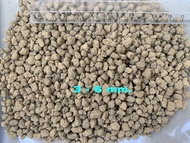 ดินญี่ปุ่นอาคาดามะ Akadama ⚡️พร้อมส่ง size SM  ราคาถูก