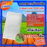 ถาดเพาะกล้านาโยน 434 หลุม มีให้เลือกซื้อ 1-700 ชิ้น ถาดนาโยน ถาดเพาะปลูก ถาดเพาะกล้า ถาดเพาะนาโยน เพ