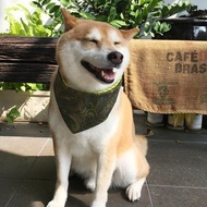 狗狗專屬名領巾-客製化(中型犬)- 皇家禮炮