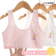 Girls Underwear Developmental Girls Children 11 Years Old 10-12-3.26