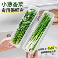 Scallion Coriander Egg Refrigerator Box Fresh-Keeping Box Green Onion Noodle Preparation Fresh-Keepi