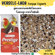 VERSELE-LAGA Forpus Expert ( แบ่งขาย 200 - 500 G.) อาหารนกไขมันต่ำ สูตรเฉพาะนกฟอพัสโดยเฉพาะ