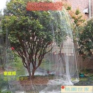 防鳥網 防蟲網  防鳥網尼龍大棚果樹櫻桃葡萄梨樹果園防鳥用網泥鰍養殖網魚塘天網