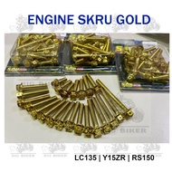 BIG BIKER S.O.B Racing ENGINE ENJIN SKRU SCREW SET GOLD FOR LC135 135LC LC 135 4S Y15ZR Y15 RS150