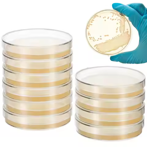 10 Pcs Nutrient Agar Plates Petri Dishes 7cm Pre Poured Science Tools STEM Education Microbiology Nu